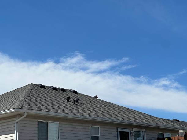 Best Roof Ventilation Installation  in Sulphur, LA